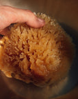 FIRSTHAND SUPPLY SEA WOOL SPONGE