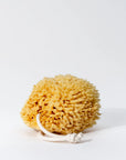 FIRSTHAND SUPPLY SEA WOOL SPONGE