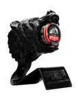 Uppercut Deluxe Bear Head Display