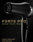 Forte Pro Feather Dryer