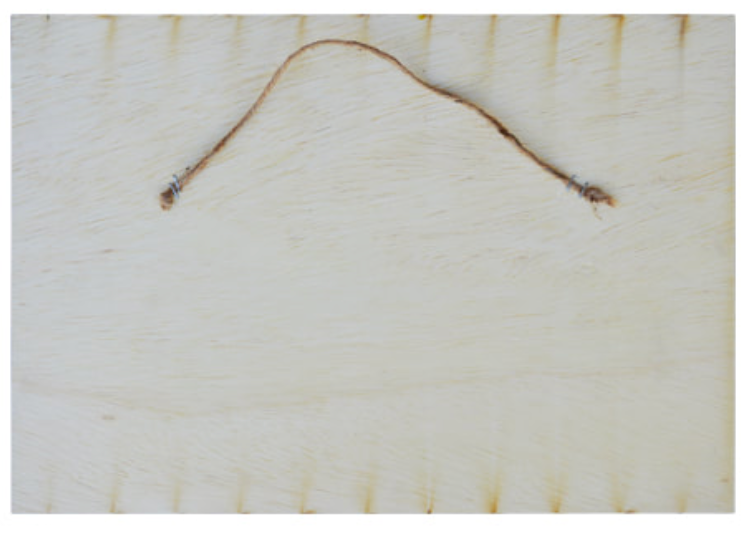 TIP TOP No Steppin Wood Sign