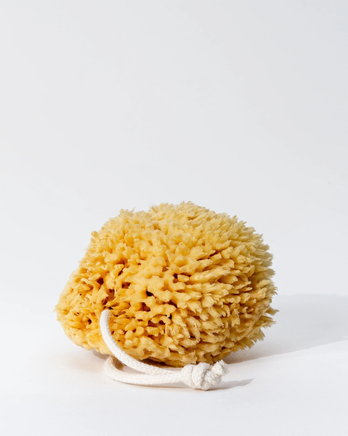 Sponge With String FIRSTHAND SUPPLY SEA WOOL SPONGE – Ultimate Barber Supply